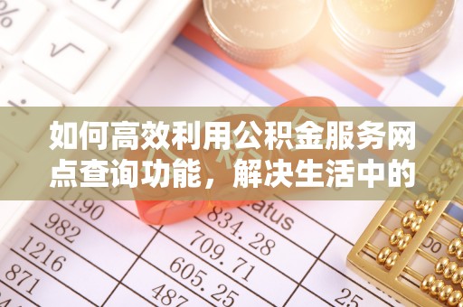 金台如何高效利用公积金服务网点查询功能，解决生活中的资金难题