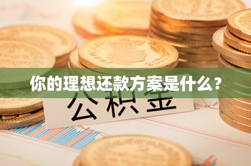 金台你的理想还款方案是什么？