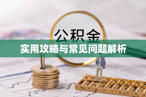 金台实用攻略与常见问题解析