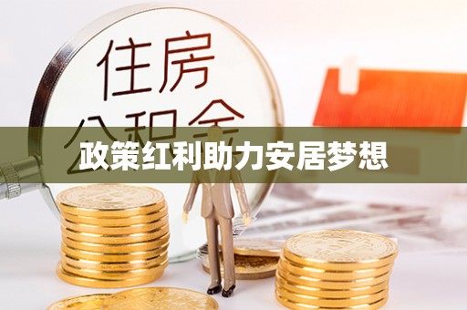金台政策红利助力安居梦想