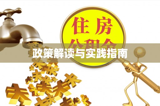 金台政策解读与实践指南